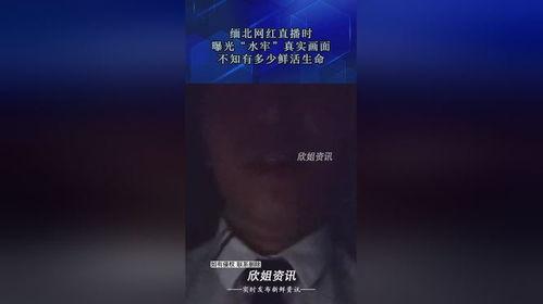 缅北直播爆料最新消息,揭秘神秘势力动态 第3张 缅北直播爆料最新消息,揭秘神秘势力动态 第3张